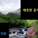 지리산흑돼지복있는농장 이미지