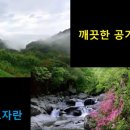 지리산 흑돼지 복있는 농장 이미지