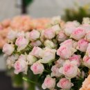 부산시민공원 카페테리아 이미지