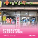 강서지금약국 이미지