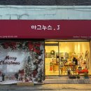 마그누스 | [마그누스] 대구 수성구 범어동 귀걸이, 목걸이 득템한 악세사리 소품샵 추천
