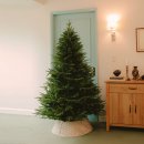 상아지네 | 윈터스케치 크리스마스 트리 180cm PE 전나무 지네전구 실버오너먼트 세트