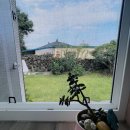 라이앤미 이미지