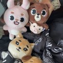 화인투어(FINE TOUR) | Please be my Finale | 250518 데이식스 Forever Young Finale in 서울 막막콘 후기