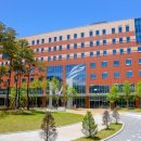 어라운즈 이미지