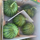 따봉청과 이미지