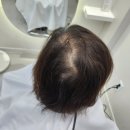수원 여우가발, 생애 첫 오프라인 방문 후기