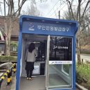 상록
