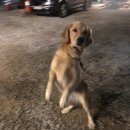 행복나드리야영장 이미지