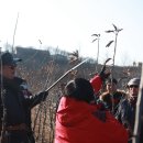 구로다 야스마사의 밀식재배 유목관리 (문경영농교육20140109) 이미지