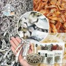 엔젤문고 이미지