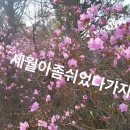 배산성지 이미지