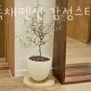 양양독채펜션감성스테이야양에감 이미지