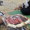 고성 취사가능 반암해수욕장 바베큐하면서 물놀이🩵 극-락 ⛱️ (feat. 해파리)