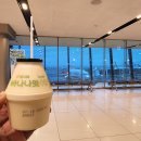 낚고락고 이미지