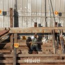 엄정미용실