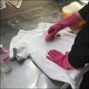 광교세탁 이미지