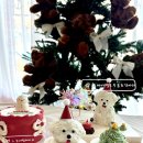 댕댕파티 이미지