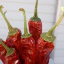 산이네농장 이미지