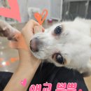 미소 - 포항시 남구 | 미소