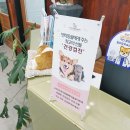 24시아프리카동물병원