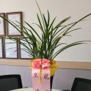 행정사 성원성원사무소 이미지