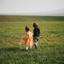 형제행정사 이미지