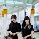 리즈