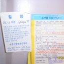 완산-97 네이버블로그