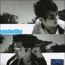 SEA서비스 이미지