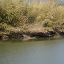 명봉 약수터 이미지