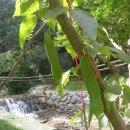 서상초병설유치원 이미지