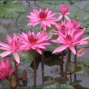 대일인쇄사 - 청주시 상당구 | 대일인쇄사