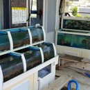 해물횟집 이미지