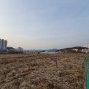 다사 달천 네이버블로그