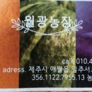 김미희농장 이미지