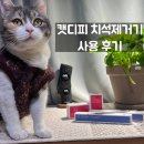 캣디피 고양이 치석제거기 사용 후기
