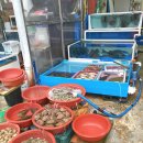 야호수산 이미지