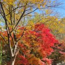 남산뜰 화장실 이미지