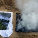 신호1리마을회관 이미지