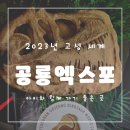 (주)티켓몰 | 공룡을 좋아하지 않는 아이와 함께 2023 고성 공룡엑스포 후기