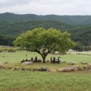 메밀꽃필무렵 이미지