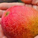 서홍농장 이미지