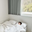 쉬오트애견풀빌라 이미지