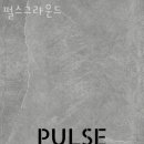 펄스그라운드 이미지