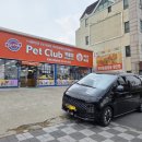 펫클럽천안