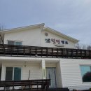 힐링캠프 | [태안 여행] 갯벌체험 가능한 "태안힐링캠프펜션" 직장인 기념일 힐링여행 후기🐚