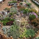 태홍농장 이미지