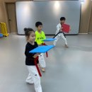 국가대표 메카태권도 이미지