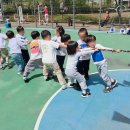 한양샛별유치원 네이버블로그